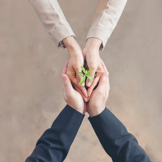 NOULA - La Nouvelle Laiterie - Qualität